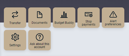 Budget Buddy Online Look