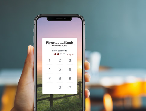 First National Bank Winnsboro app on phone